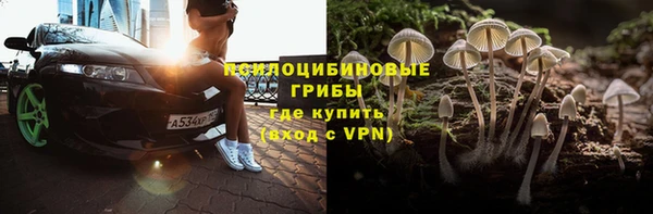 дмт Ладушкин