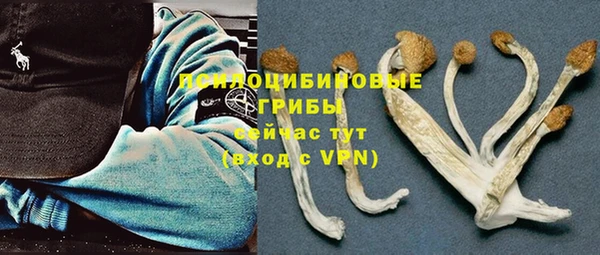 ешки Лагань