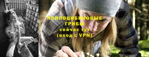 дмт Ладушкин