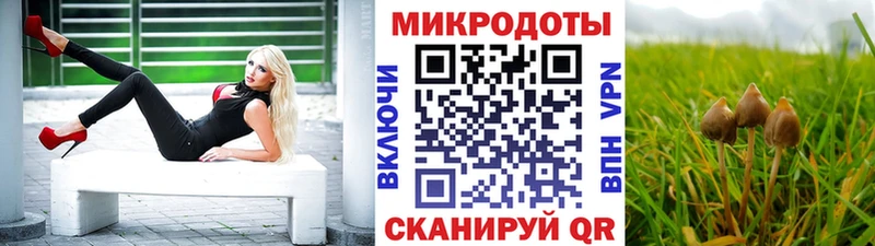 Галлюциногенные грибы GOLDEN TEACHER даркнет сайт Сковородино